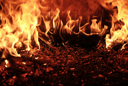 incêndios julho agosto 2025; apoios imediatos; empresas; populações; formulário candidatura